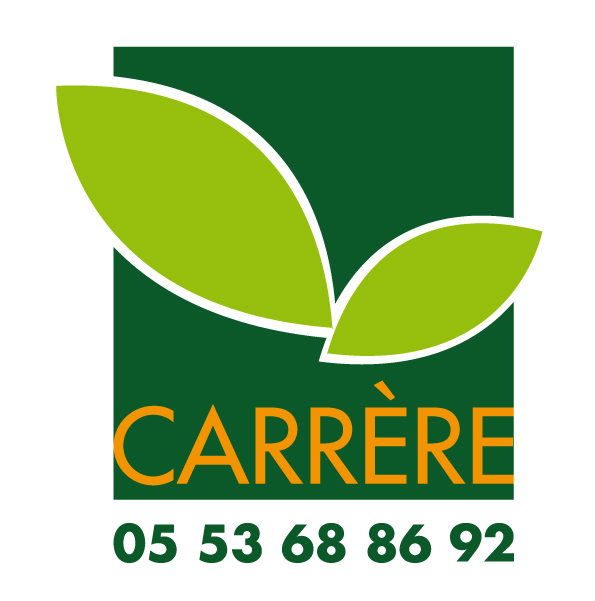 j9a80jfYsZSrohiipe39_logo CARRERE.bmp